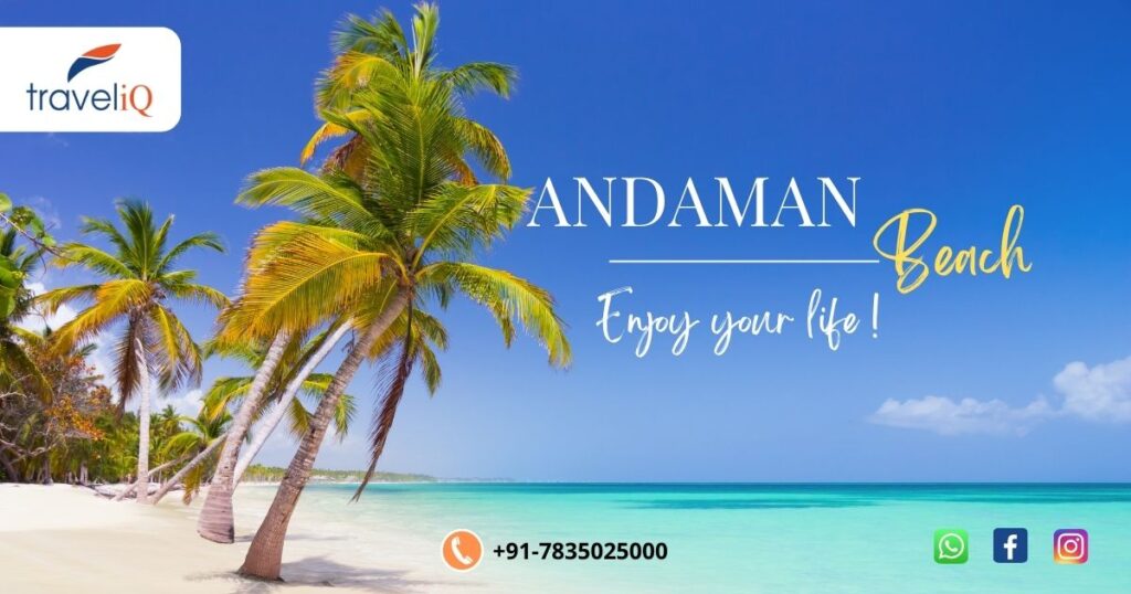 Andaman tourism packages